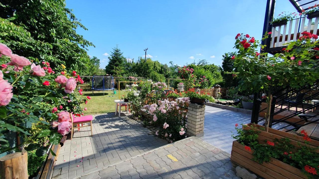 David Home 56 Znojmo Exterior photo